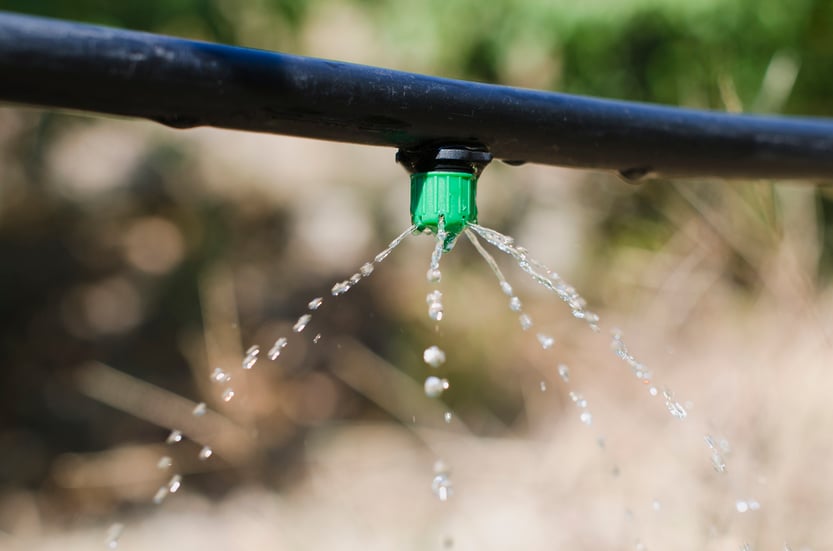 Drip Irrigation vs Sprinklers Which is Right for Your Crops?